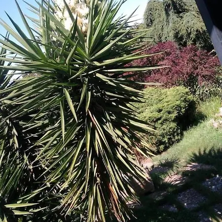 住宿加早餐酒店 圣苏西住宿加早餐别墅酒店