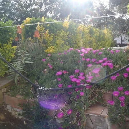 圣苏西住宿加早餐别墅酒店 奇维塔韦基亚