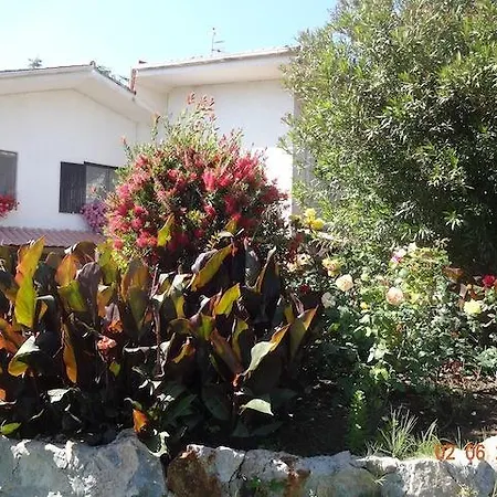 圣苏西住宿加早餐别墅酒店 3* 奇维塔韦基亚