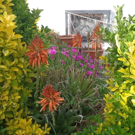 Sans Souci Bed & Breakfast