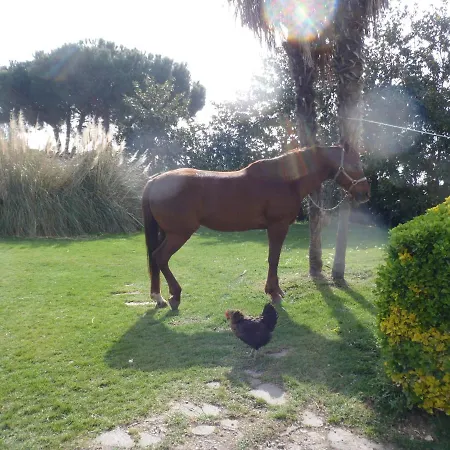 Sans Souci Bed & Breakfast