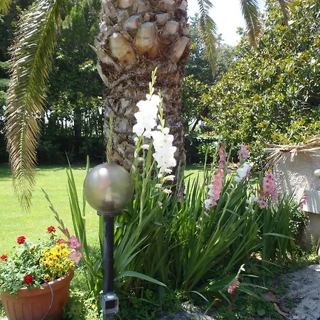 Sans Souci Bed & Breakfast
