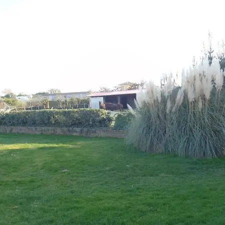 Sans Souci Civitavecchia